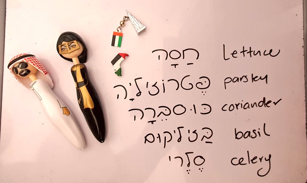 hebrewgcc's tweet photo. โค A very nice lesson talking about recipes, traditions, ingredients ๐๐ฅฌ
#souk #markets #UAE #Dubai #hebrew #hebrewlessons #ingredients #herbs #vegetables https://t.co/fWNXnnRDKs