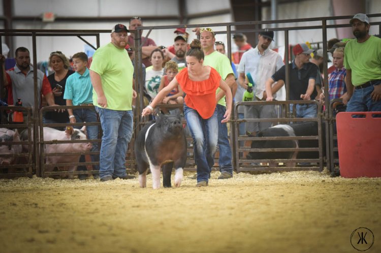 Bo Dupler (@bo_dupler) on Twitter photo 3rd Overall at the Perry County Fair!!!One of the better county shows in the Great State of Ohio. Shown by Caroline Dupler and bred by <a href="/moyer_ben/">Moyer/Geneticedge.com</a> Moyer Genetic Edge show pigs. A special thanks shoutout to <a href="/cdupler30/">🪩 اخصائية /مساج</a> 3rd Overall at the Perry County Fair!!!One of the better county shows in the Great State of Ohio. Shown by Caroline Dupler and bred by <a href="/moyer_ben/">Moyer/Geneticedge.com</a> Moyer Genetic Edge show pigs. A special thanks shoutout to <a href="/cdupler30/">🪩 اخصائية /مساج</a>