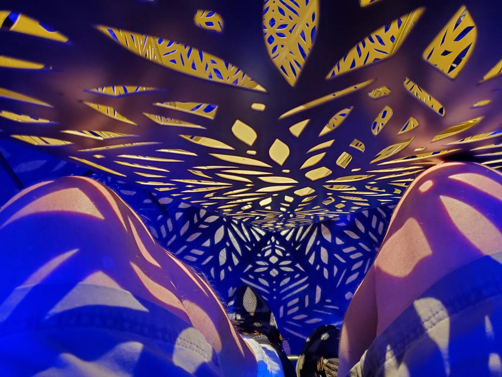 billeecox's tweet image. The #microchipimplants from my #covidvaccine allow me to #photographhallucinations