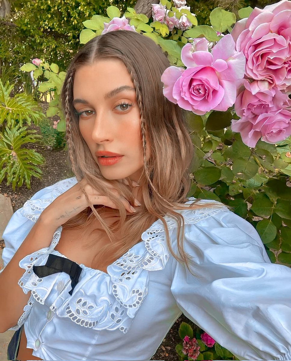 archive hailey tweet media