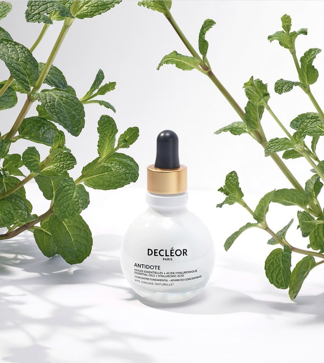 BeautyFreshLtd's tweet photo. Meet Decléor Antidote 🌿 

Antidote Serum by Decléor is your 97% natural-origin product for smooth and glowing skin with Hyaluronic Acid. It strengthens the skin's barrier and protects it from daily aggressions.

Shop here: https://t.co/IzVUeR8xaU

#decleor #decleoruk https://t.co/PEdg3bED5o