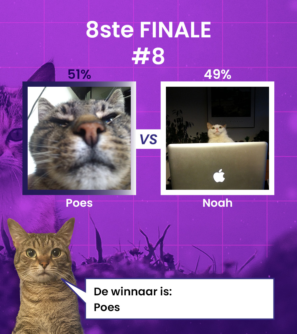JOA__JPG's tweet photo. De winnaars van 8ste Finale 7 en 8 zijn bekend!

Jules en Poes gaan als laatste door naar de Kwart Finales! Bedankt voor de deelname vandaag ❤️
 
Volgende polls om 10:00! 
Deelnemers bekend over 40 minuten https://t.co/h52zcBMCHP