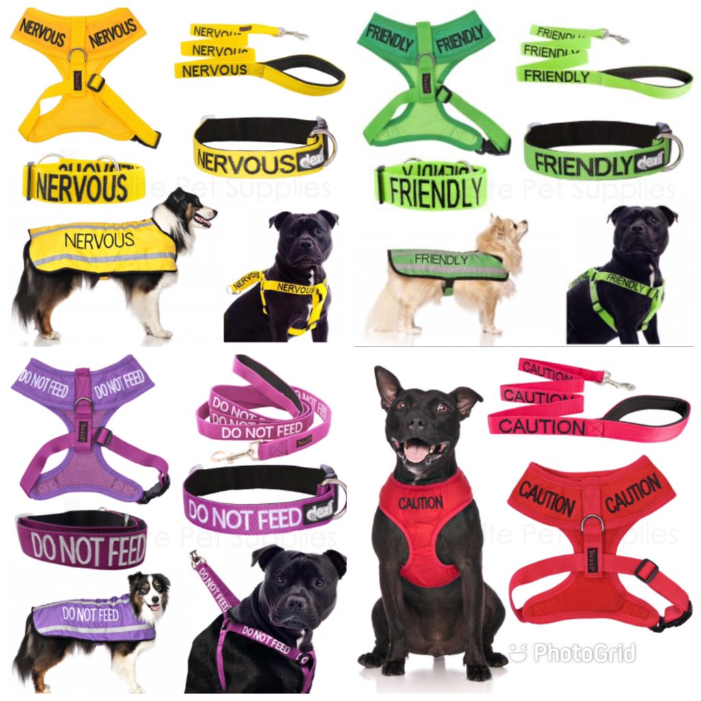BlackdogDNA's tweet photo. I love these colour coded leads collars and harnesses #dexil  https://t.co/qvSKFVnNIZ #K9Hour https://t.co/TOizzgzCqQ