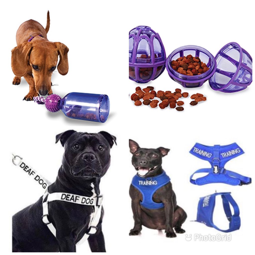 BlackdogDNA's tweet photo. I love these colour coded leads collars and harnesses #dexil  https://t.co/qvSKFVnNIZ #K9Hour https://t.co/TOizzgzCqQ