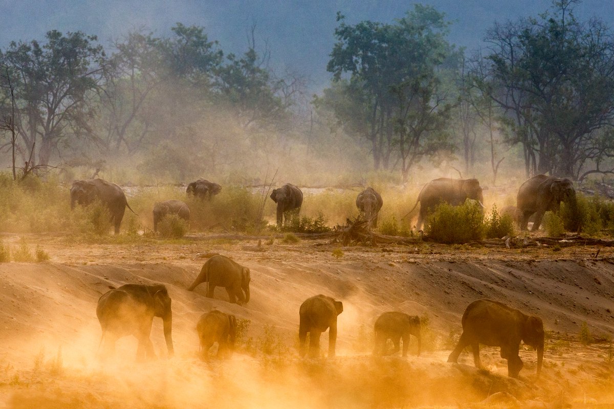 FocusCollectiv's tweet photo. Free thoughts ...wild dreams ❤
now available on @withFND
https://t.co/DALulo2GNZ
#nftcollector #NFTCommunity #nftart #NFTmalayali #NFTphotographers https://t.co/N5coE6JZEa