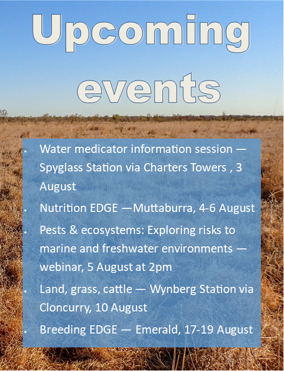 FutureBeef's tweet photo. If it's beef related, or if it's rangeland management related, you'll find it on the FutureBeef events calendar: https://t.co/CUX9eUJgYb

@DIT_AgTech @DAFQld @meatlivestock @SouthernGulf 
#beefcattle #northernbeef #agchatoz #ruralevents https://t.co/ntjCEliqpR