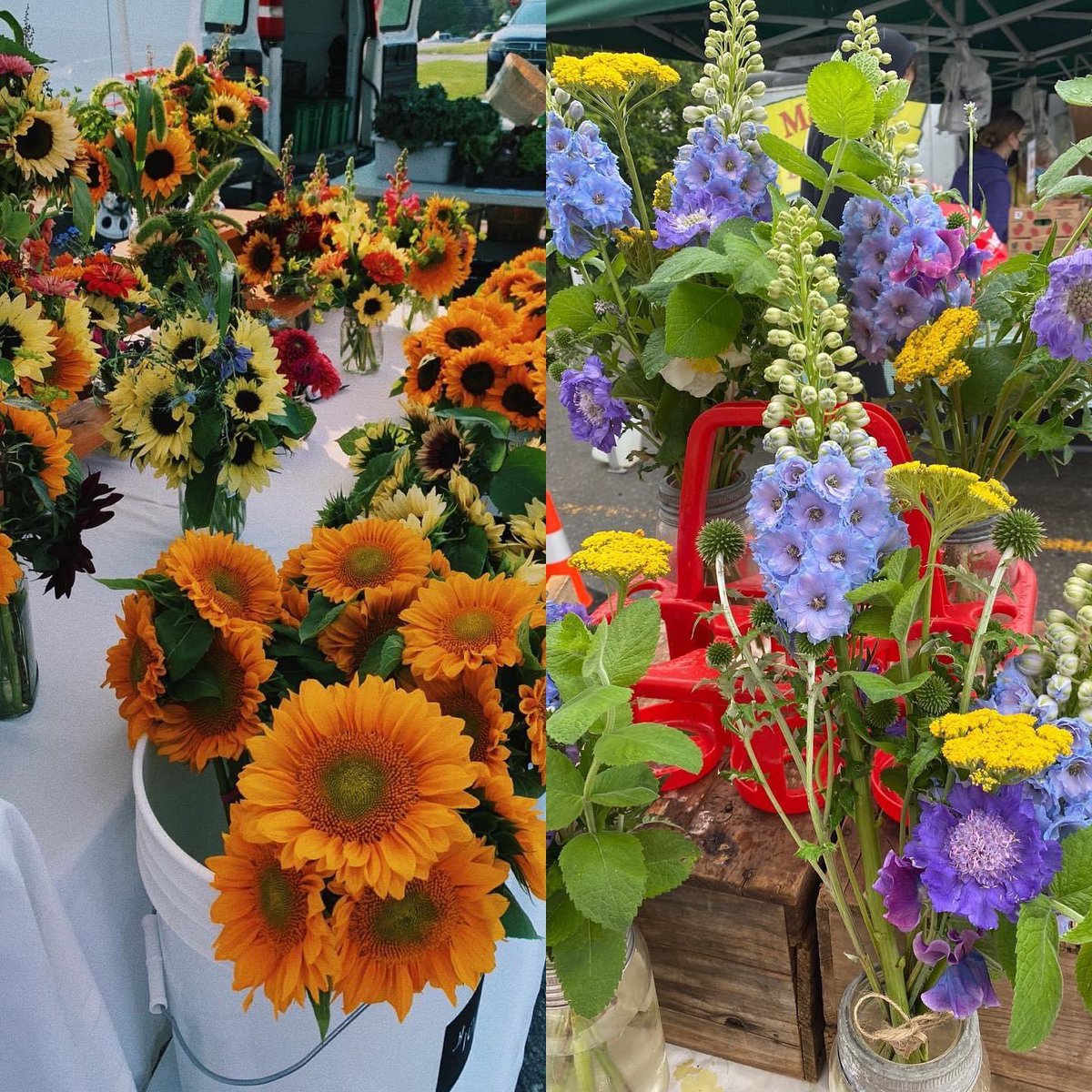 Our market is in full bloom! Come enjoy the seasons’ colours and pick up a gift for yourself or others! 
💐💐💐
#giftidea #selfcare #rainorshine #SeeYouAtTheMatket #Thursdays #Lakefield