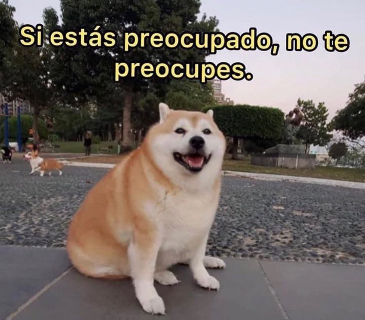 SuavesLomitos tweet picture