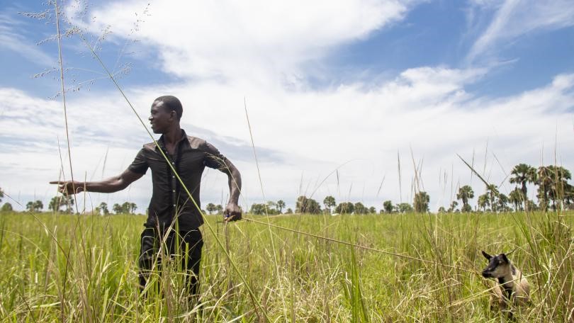 ActionAgainstP2's tweet photo. Training in farming can be of help for rural youth. We support farmers groups to save and invest money wisely. Tom grows rice for his family and to sell. Through the support and skills training he's participated helped him earn enough to also buy a goat and diversify his income. https://t.co/lPBE9ZohDt