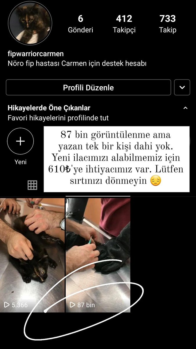Bir tweetimizi en az 7 bin kişi görüntülüyor. Sizden çok değil yalnızca 10₺ yardım istiyoruz. Biz sokakta bulup Carmen'e sırtımızı dönemedik. Lütfen aynı hassasiyeti sizler de gösterin. Bu hasta bebeği hep beraber iyileştirebiliriz. Çakır'ı iyileştirdiğimiz gibi 😔