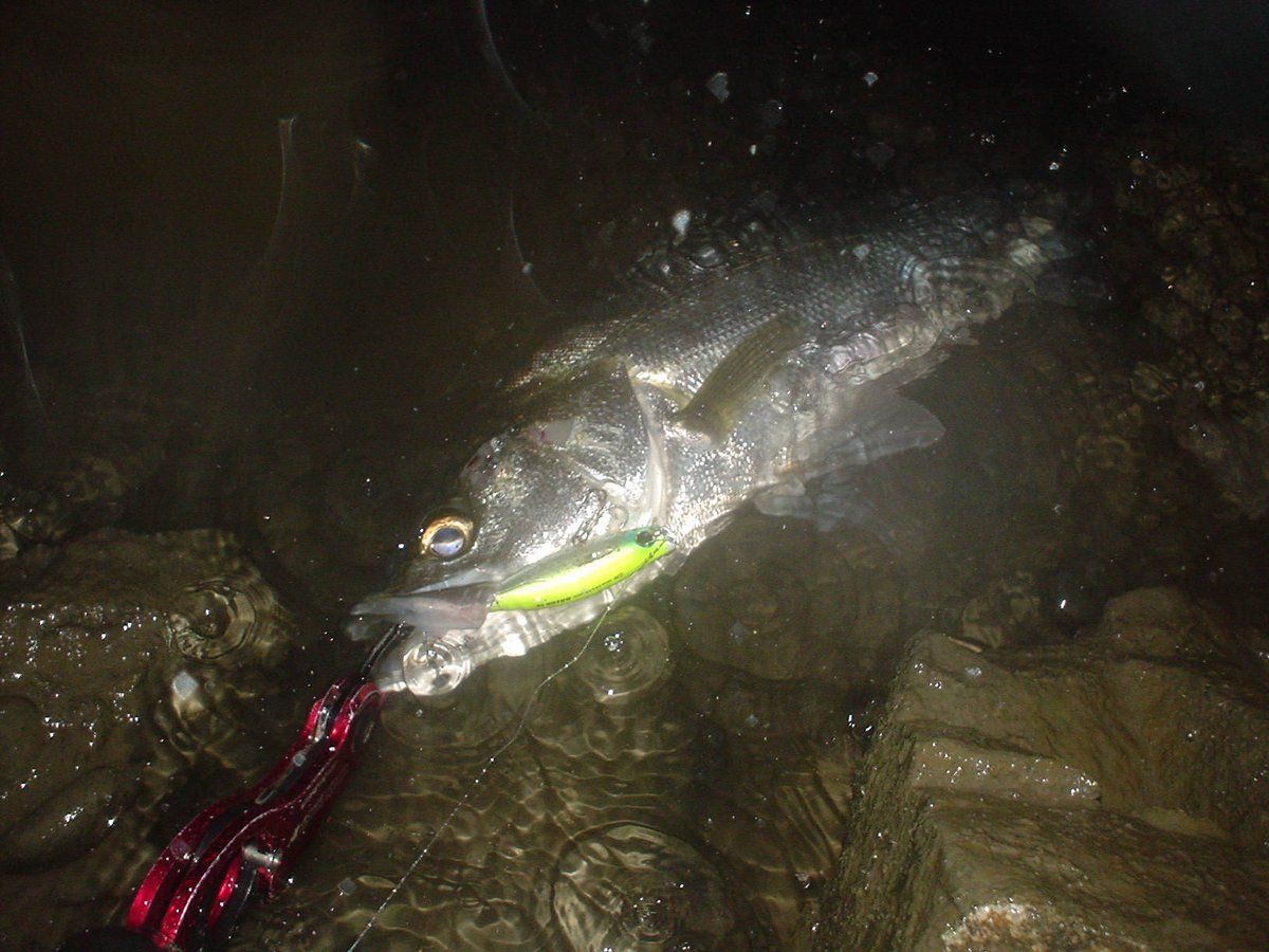 蜂谷和弘 1253ak Twitter