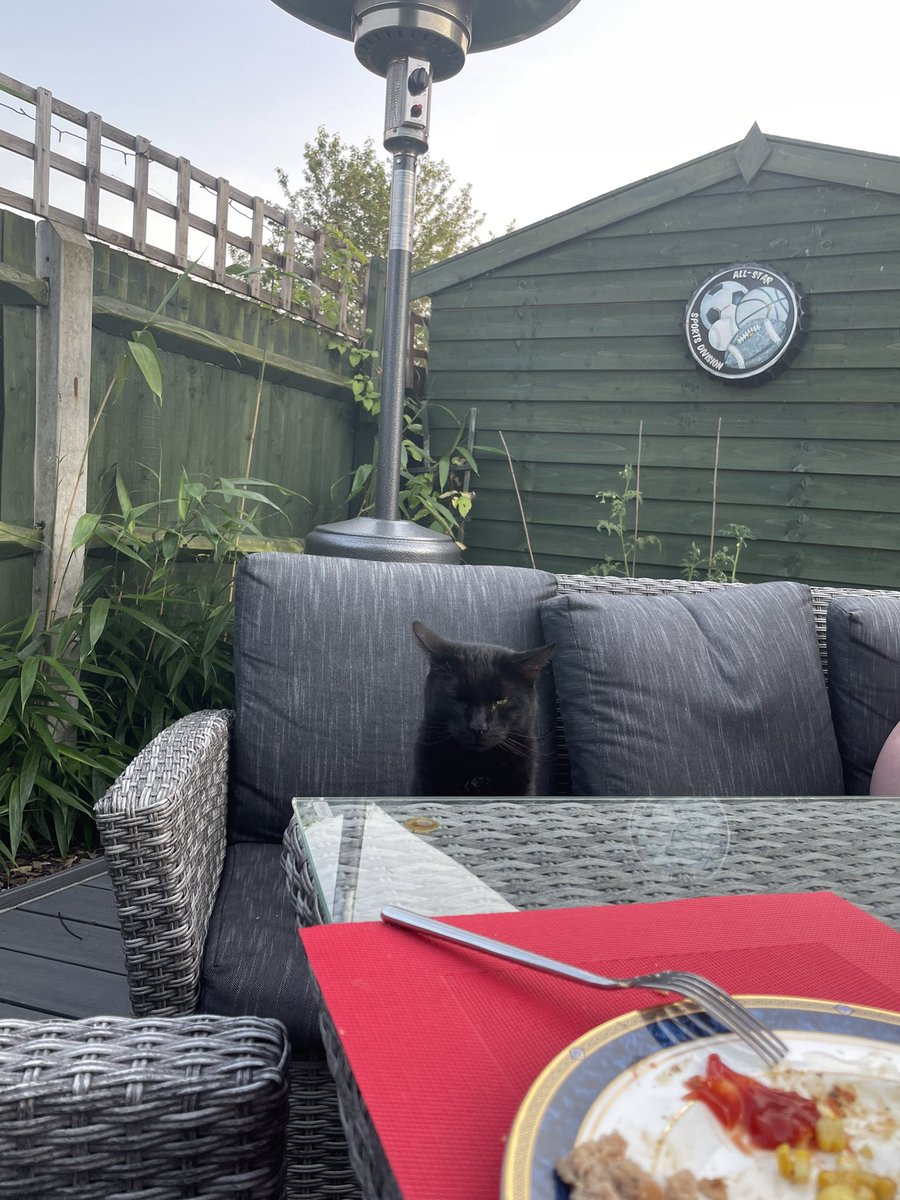 Happy birthday to Mr Taz, 3 years young, had steak for dinner 🥘 #CatsOfTwitter <a href="/Alan_Measles/">Grayson Perry</a> <a href="/Philippa_Perry/">Philippa_Perry</a>