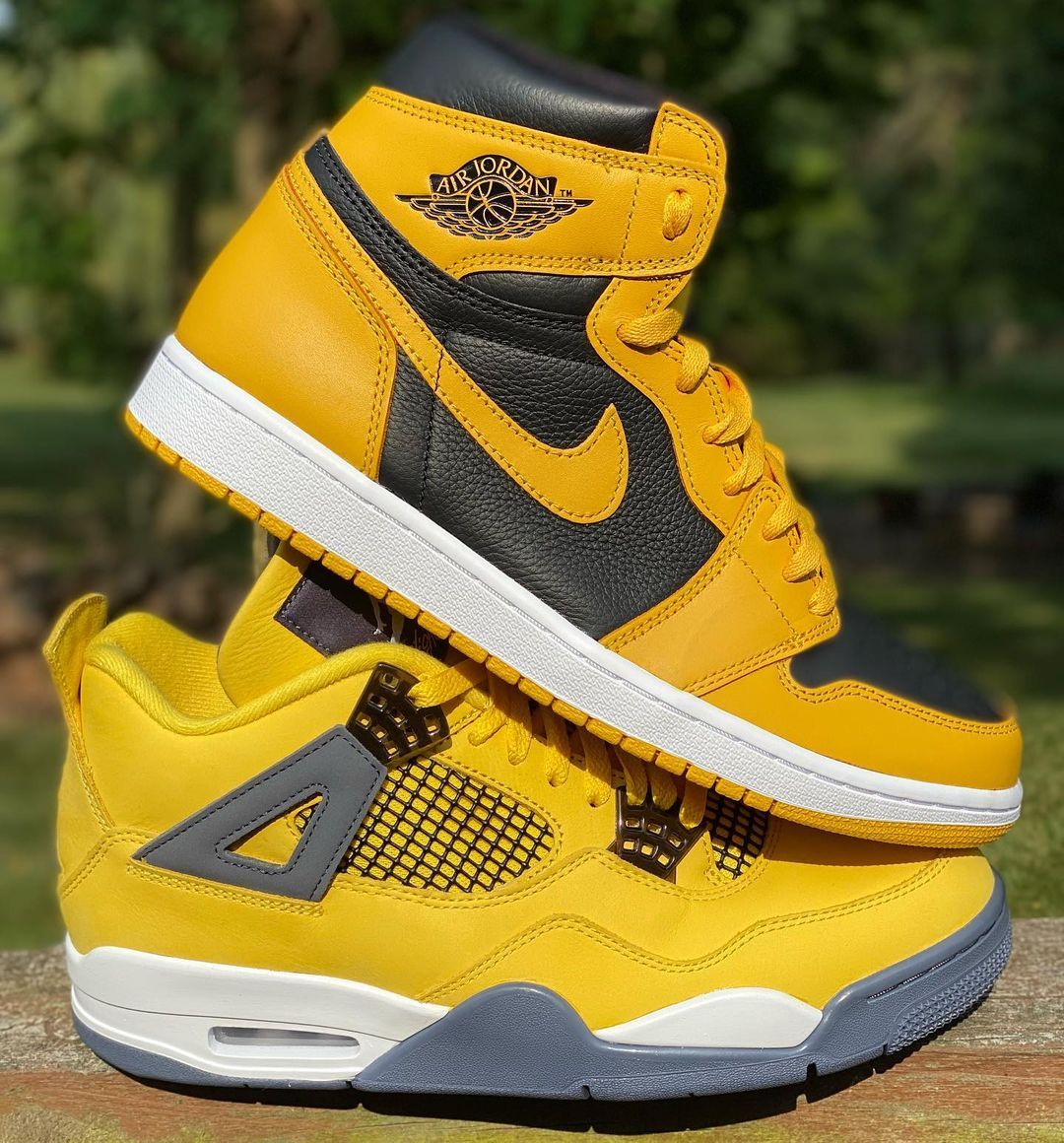 pollens shoe