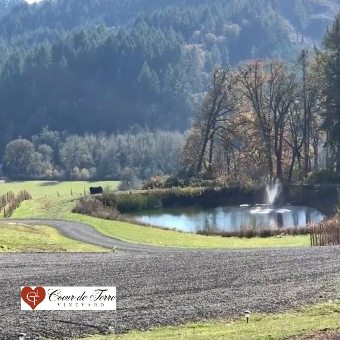 Coeur de Terre tweet media