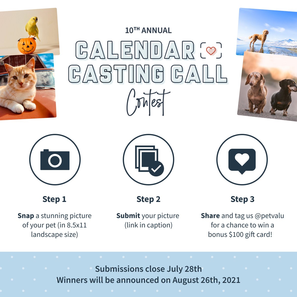 bosleyspetstore's tweet image. ⏳ Time is ticking! 2021 Calendar Casting Call ends in just 48 hours. Submitting your photo is as easy as 1, 2, 3. 

📸 Snap a stunning picture of your pet
💻 Submit here: castingcall2021.lndg.page/RxrXdg
📢 Share &amp;amp; tag us @petvalu for a chance to win a bonus gift card! #PVCastingCall2021