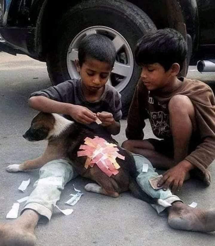 मानवता किसी स्कूल में सिखायी नहीं जा सकती.❤️