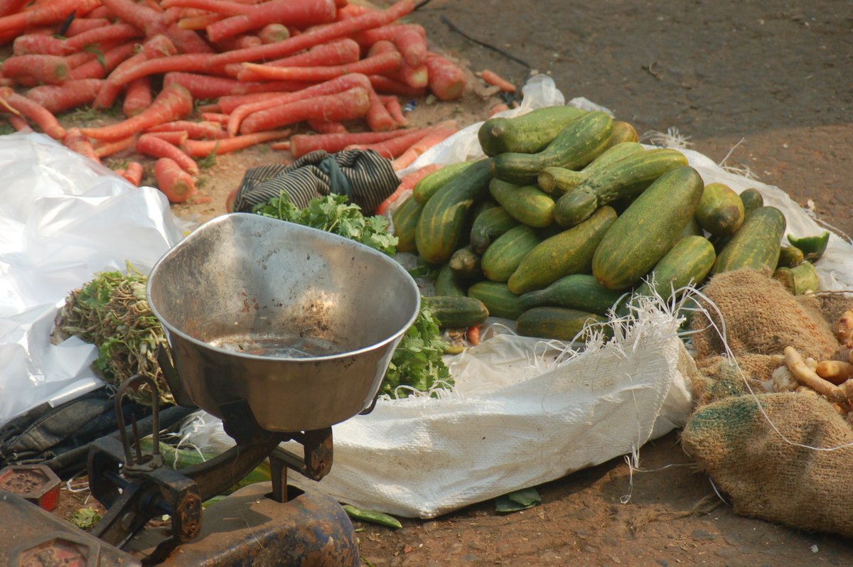 New on the #FoodSystems Idea Exchange! As the #UNFSS2021 Pre-Summit gets under way, @ruerdruben and @IngeBrouwer share their thoughts on what leverage mechanisms can support #foodsystem transformation: bit.ly/3rxrcbS #A4NHResearch #FSIEBlog