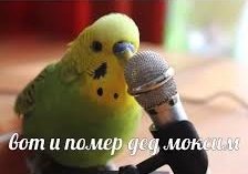 Horoscope от Жанны tweet media