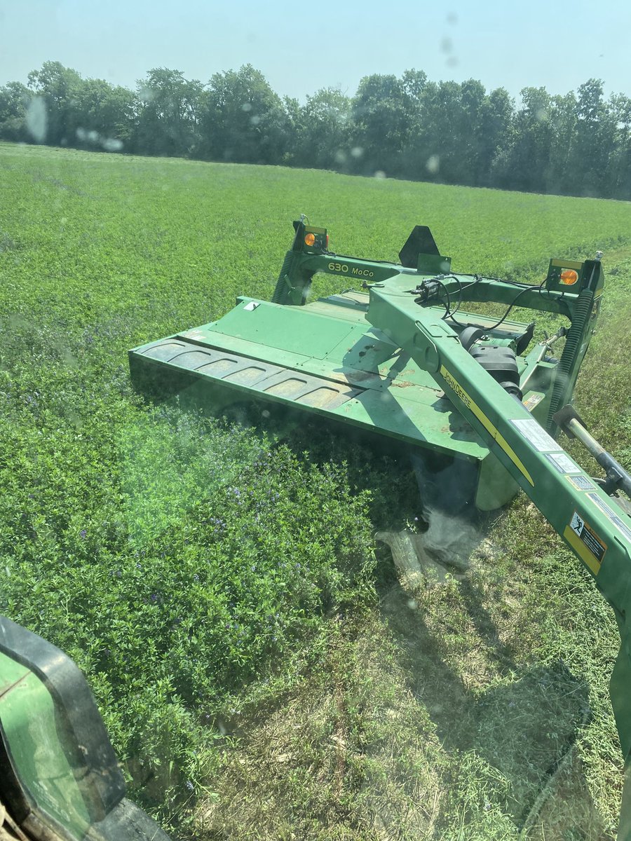 greg elliott tweet media