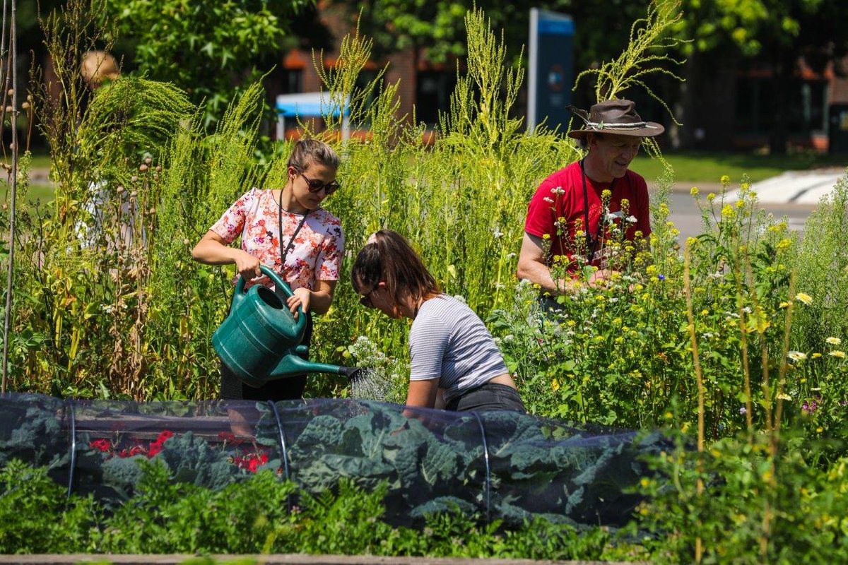 As part of our commitment to #sustainability, we are proud to have urban gardens at Milton Park.  You can #grow vegetables, herbs and other plants while you're at work. A great way to get some fresh air, meet people, and share #gardening tips.