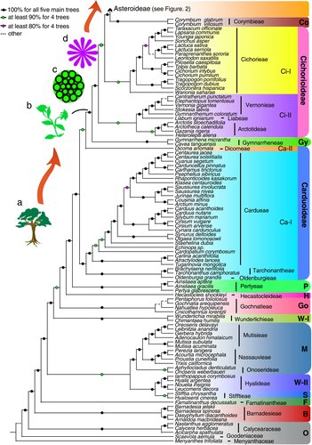 JIPBio's tweet image. The #FunctionalOmics &amp;amp; #SystemsBio section of our June issue highlights evolution and biodiversity in the #Asteraceae. Read about phylotranscriptomic insights into Asteraceae diversity, polyploidy, and morphological innovation, by Zhang et al., in #JIPB!
onlinelibrary.wiley.com/doi/full/10.11…