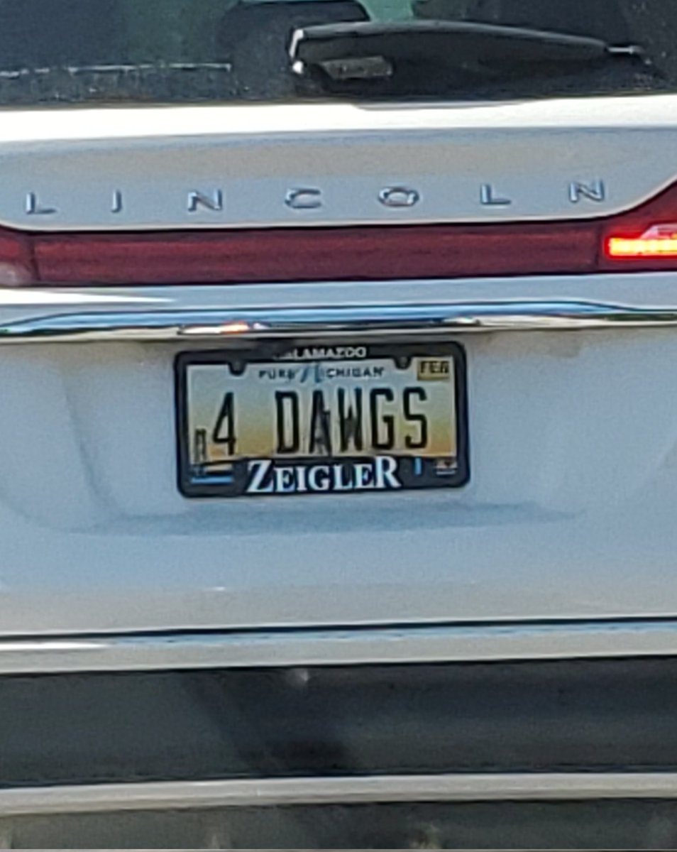 dottkov's tweet image. Oh, I don't know. I think just one will do the trick, to be honest. 🤨
@RandyStine