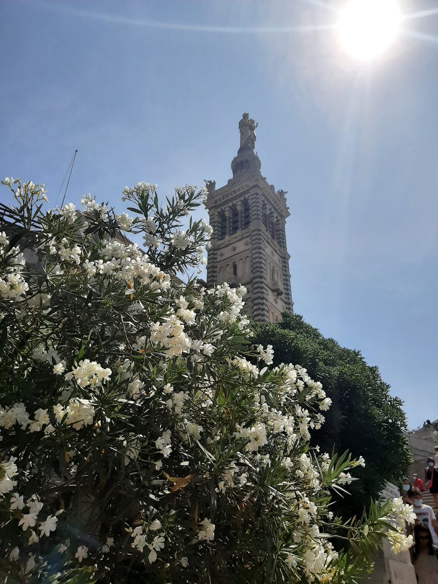 DYANESUIB's tweet photo. Bonsoir les rêveurs 
Promenade à #Marseille https://t.co/gQjcoEUZTQ