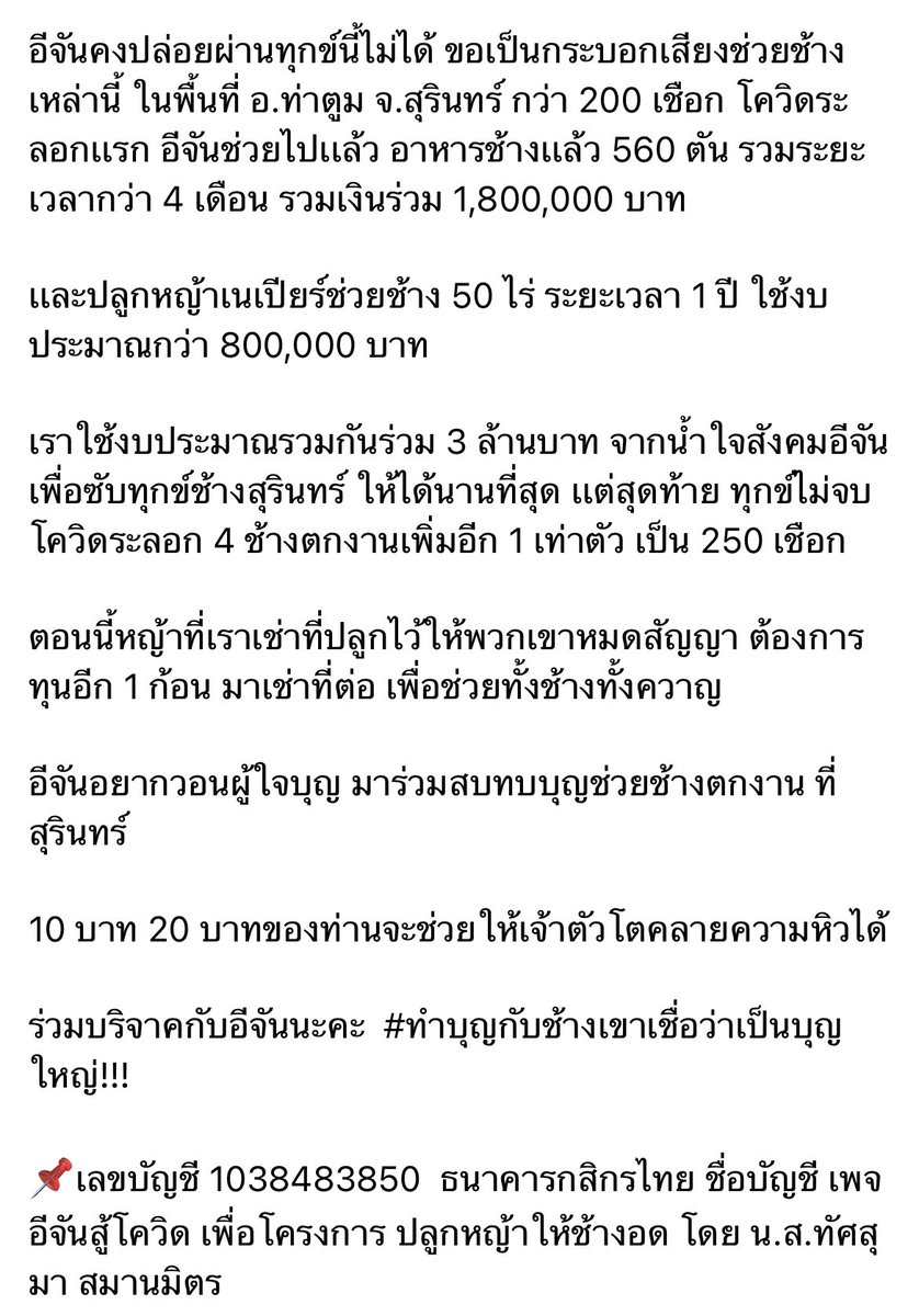 tteokbokPlodnee's tweet photo. ทุกคนงับ เราฝากรีทวิตหน่อยนะงับ น้องช้างกำลังขาดแคลนอาหารอย่างหนัก น้องผอมมากๆเลย ใครพอมีกำลังทรัพย์เราอยากเชิญชวนมาช่วยน้องกันนะ ใครไม่มีไม่เป็นไรเลย ฝากรีกระจายข่าวช่วยอีกทางก็ได้งับ โควิดไม่ได้ทำให้คนเดือดร้อนอย่างเดียว สัตว์ต่างๆก็กำลังจะอดตายเหมือนกัน 🥺 https://t.co/cJCqofl5AD