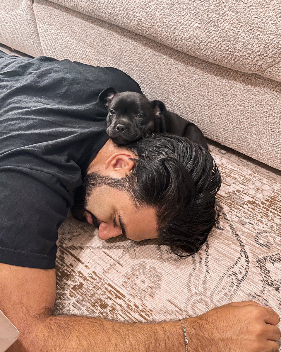WaRTeK's tweet photo. Les amis, je vous présente notre petite Boo 🐶 https://t.co/TsBQB835ar