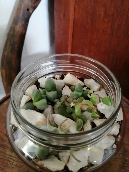 I made a thing! https://t.co/KZWI2SDtSa<a href="/tag/onlyfans"class="tags"><span>#onlyfans</span></a>