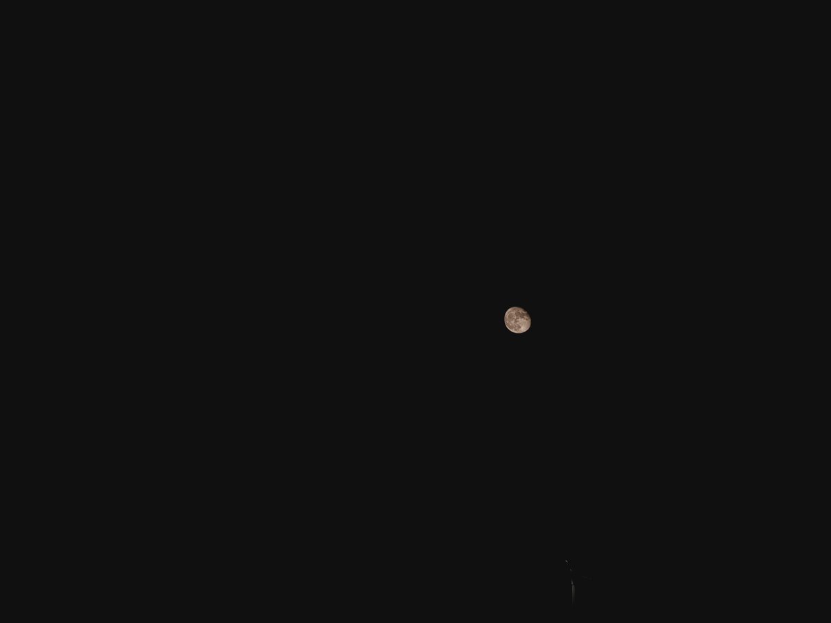 msansan123's tweet photo. 月亮🌙 https://t.co/ZDo8aFvB7q