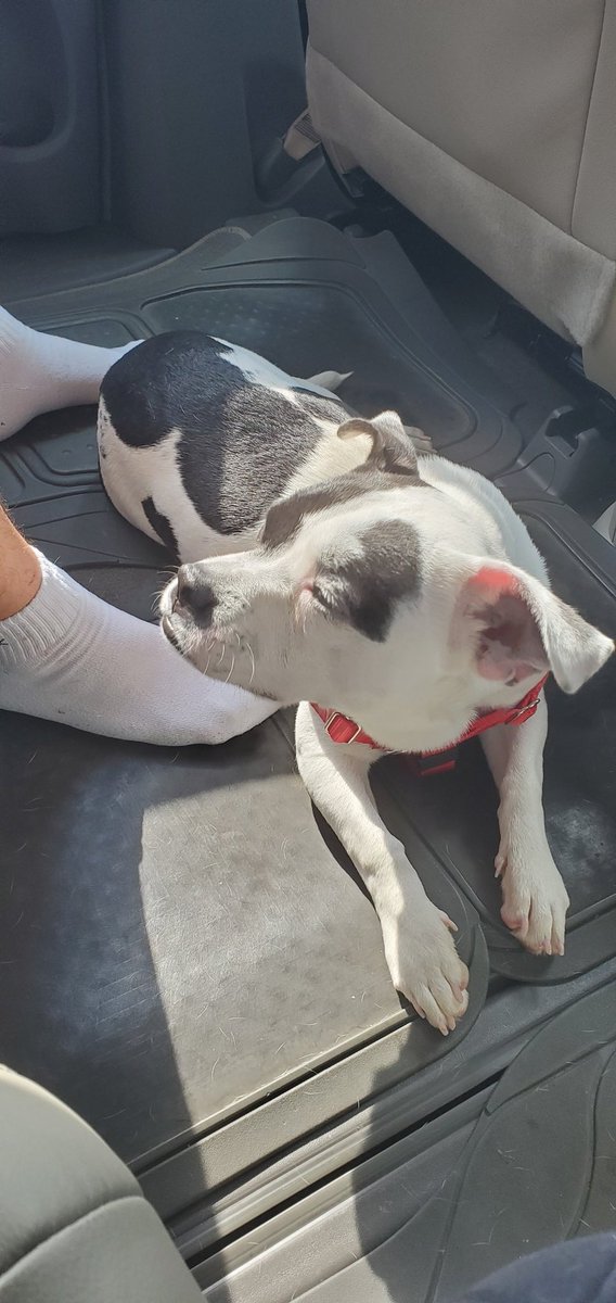 Presto —Melissa 🏳️‍🌈 tweet media