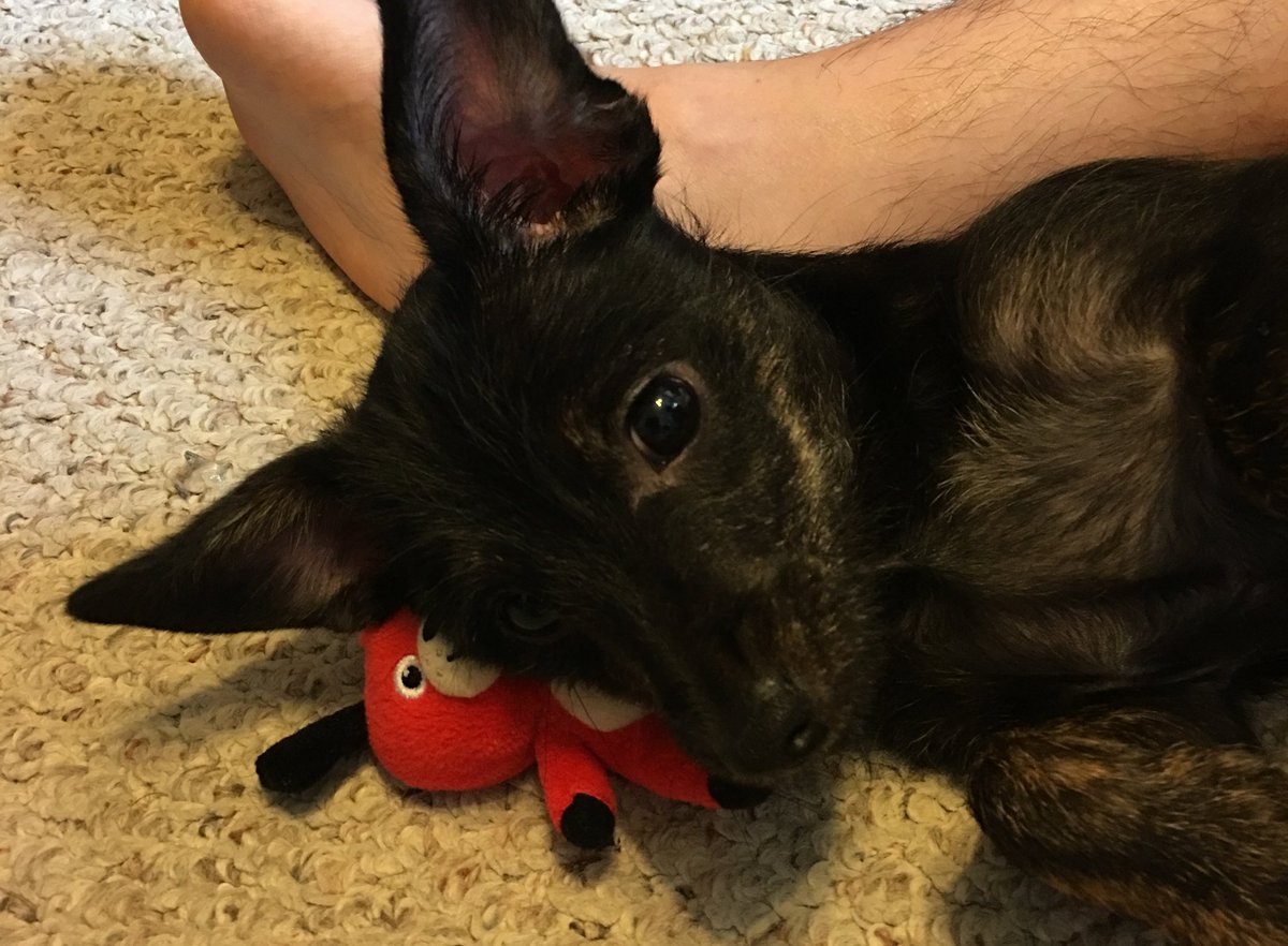 Presto —Melissa 🏳️‍🌈 tweet media