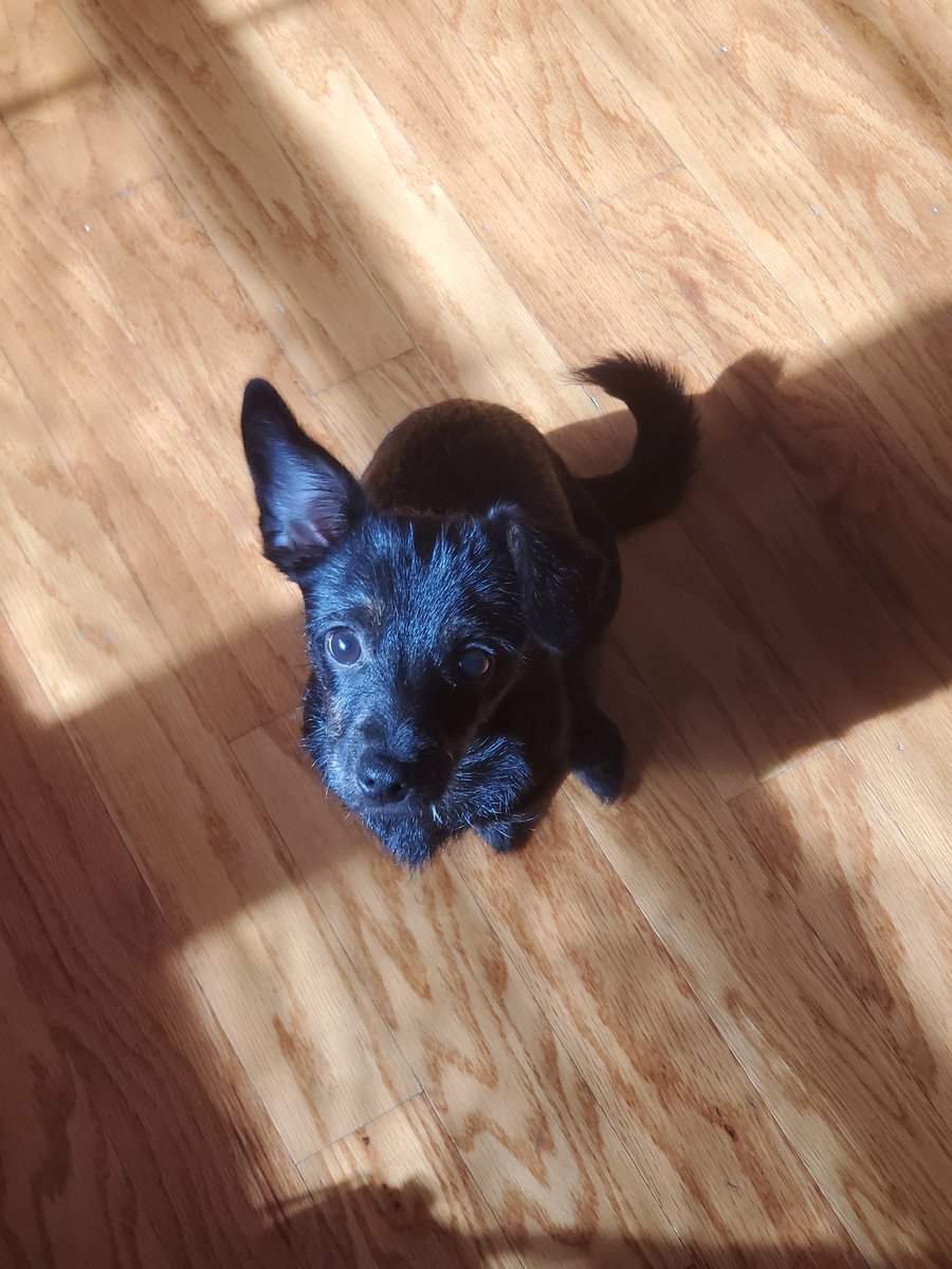 Presto —Melissa 🏳️‍🌈 tweet media