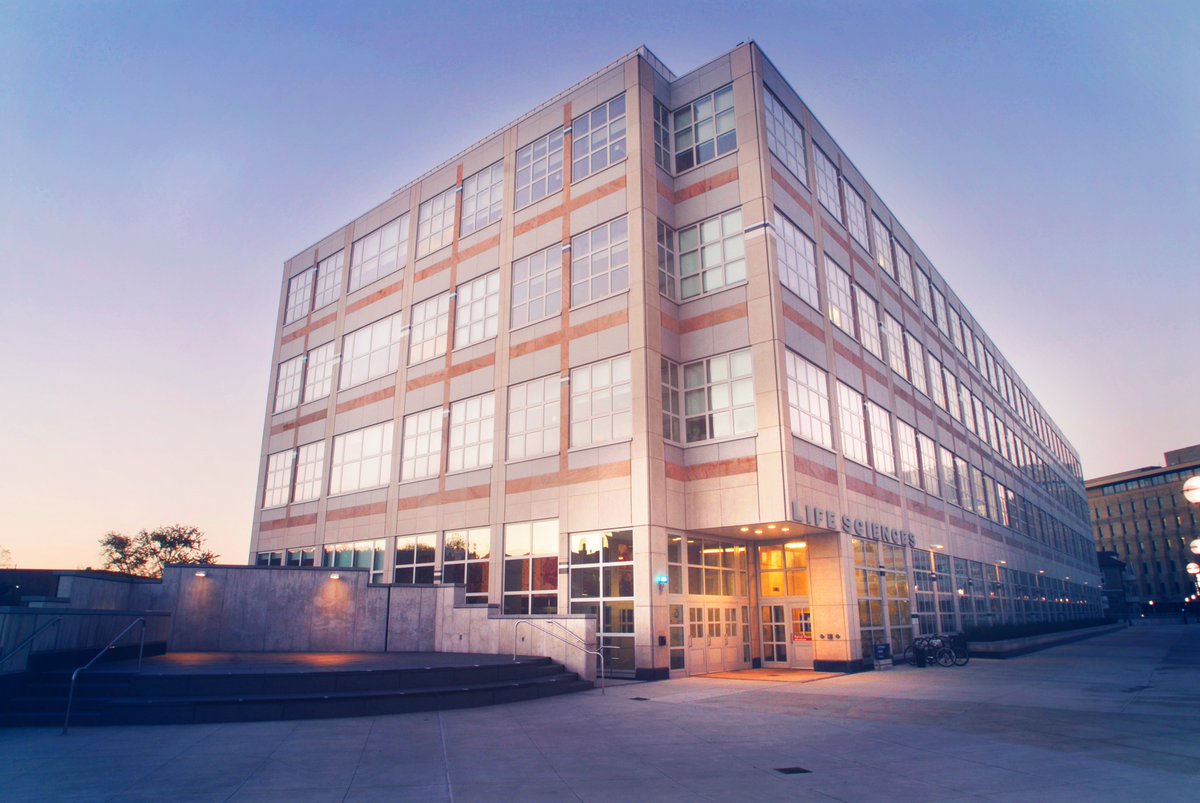 UMLifeSciences's tweet image. We have 2 #StructuralBiology job opportunities!
- A specialist to help with the daily management of our state-of-the-art #cryoEM facility
-A specialist to support the @s_mosalaganti lab&apos;s #cryoEM and #cryoET research program

Learn more and apply: myumi.ch/2DKgZ