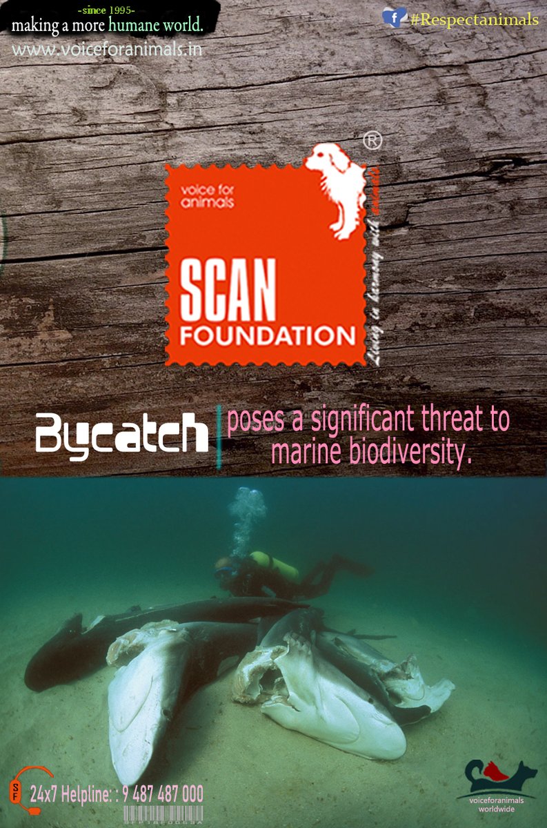 Voice for Animals tweet media