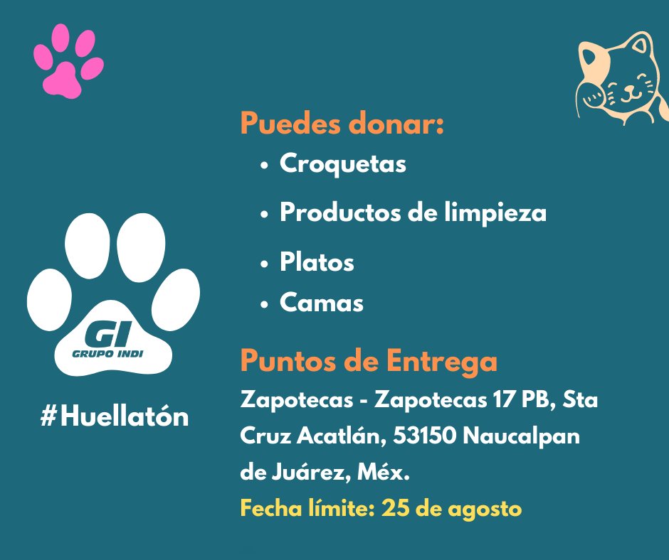 GrupoIndi's tweet photo. Lo más difícil de tener hambre, es no poder pedir ayuda con palabras, pues hay veces que los ladridos y maullidos no bastan.

¡Tú puedes ayudar, súmate al #huellatón !🐶🐾🐱

#GrupoIndi #perritosfelices #gatitosfelices #sosperritos #sosgatitos #peludos https://t.co/TIJTcmZxpO