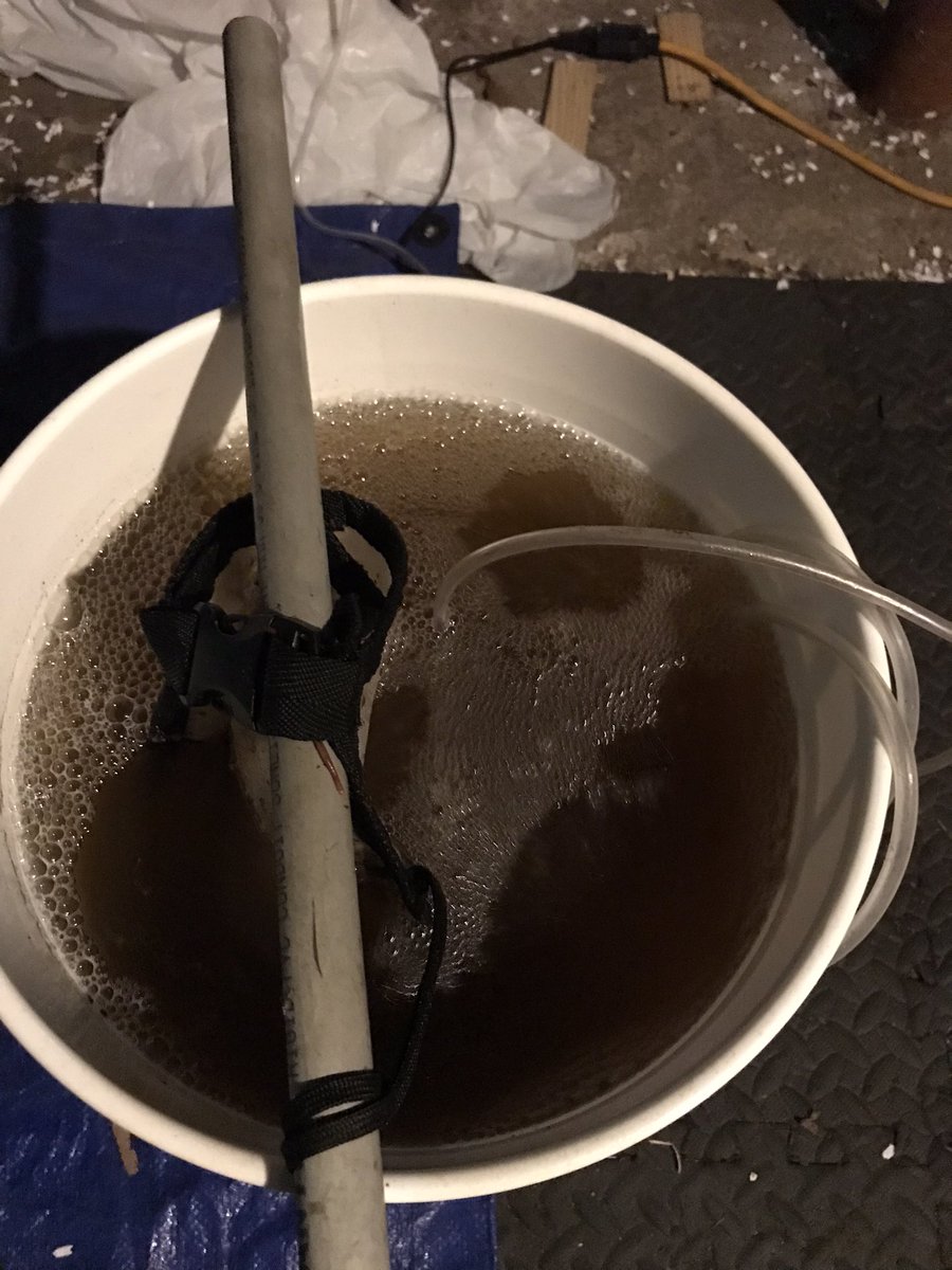 SevansWormery's tweet photo. Brewed up some #CompostTea, and the #bubbles on it were looking real nice. That #foam indicates that your tea is alive with millions of #microorganisms! No #worms were harmed in the making of this tea! They were still alive at the end of the brewing process. https://t.co/A8D7aZzoLw