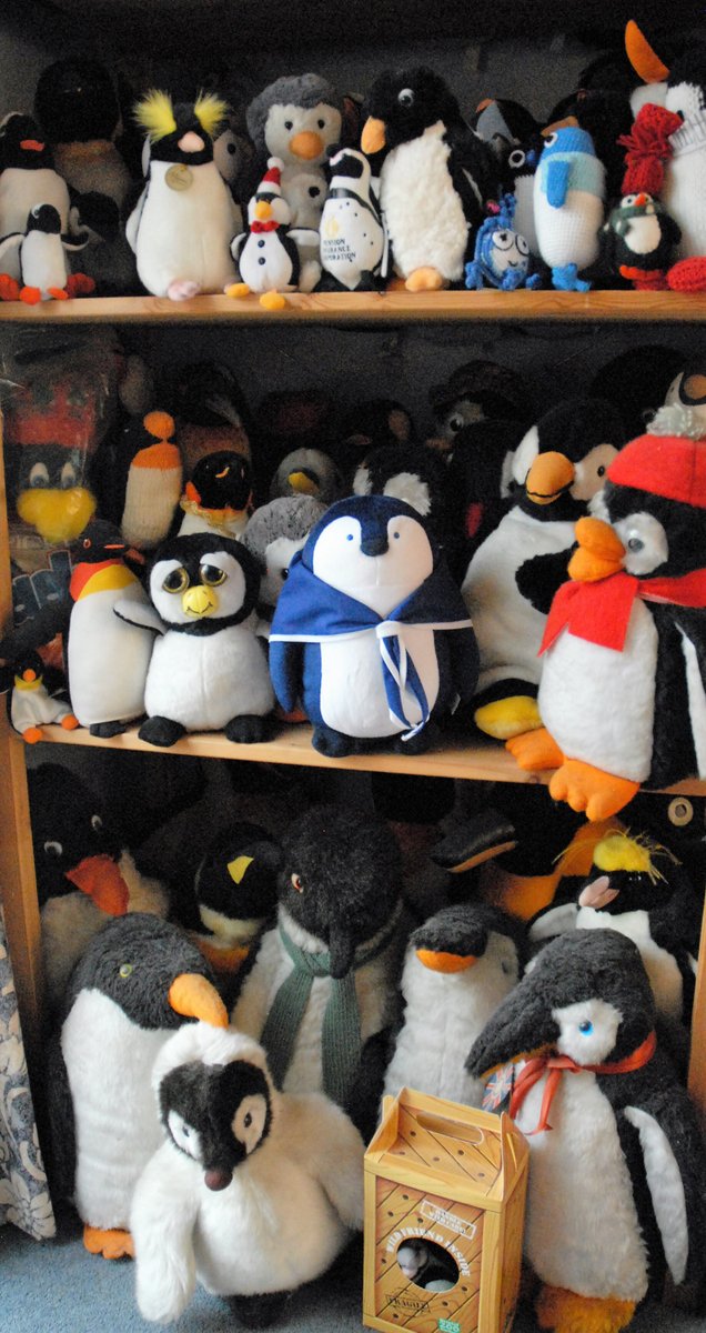 Shackleton The Penguin tweet media