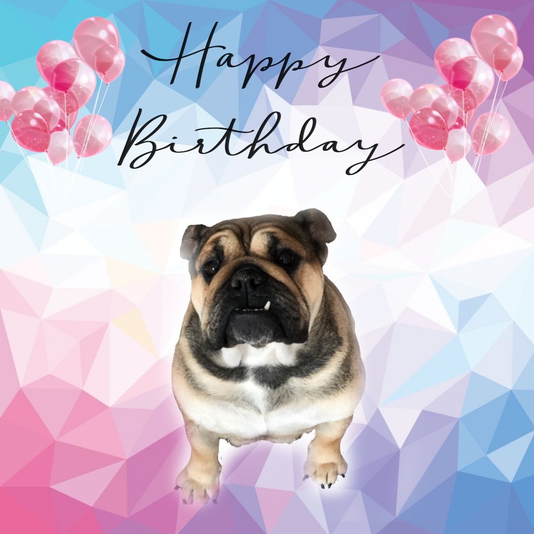 <a href="/TinyIsLove/">The Life of Tiny</a> Happy Birthday Tiny!!!! I hope you have a great day and I'm so glad you are back. I missed you!!!