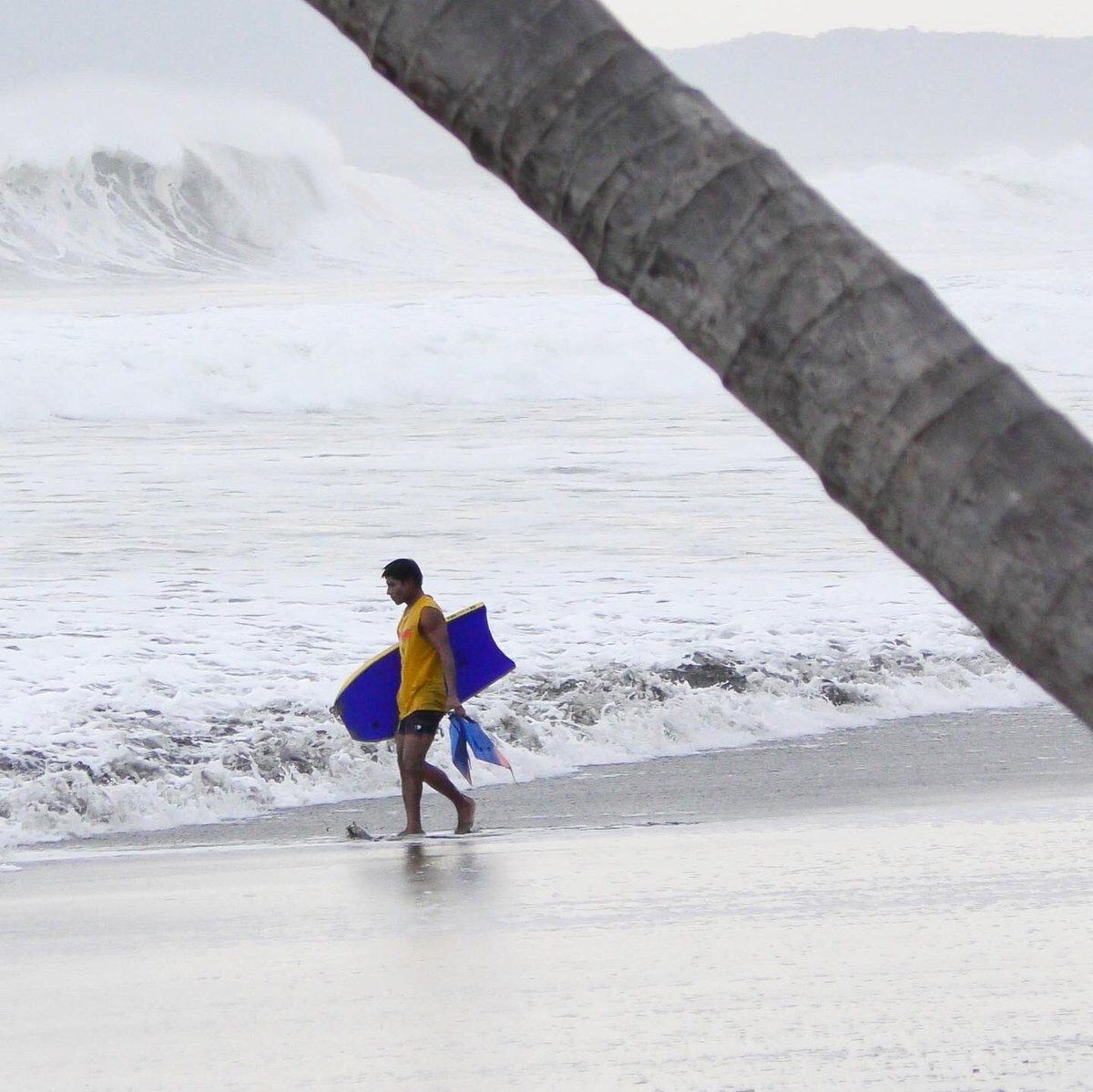 CIRCUITOPROBB's tweet photo. Banano ! Primera #VES que conocรญa el Ocรฉano Pacรญfico - local de #bocasdeltoro playa #bluff participรณ en el #MorrilloPro2021 #copacustomxpanama @viviendoelsurf ๐ฐ๐ต๐ฆ๐ฃ๐ฑ๐ช #circuitoprobodyboard #ABP #separtedelahistoria https://t.co/8ErfsWRyEj