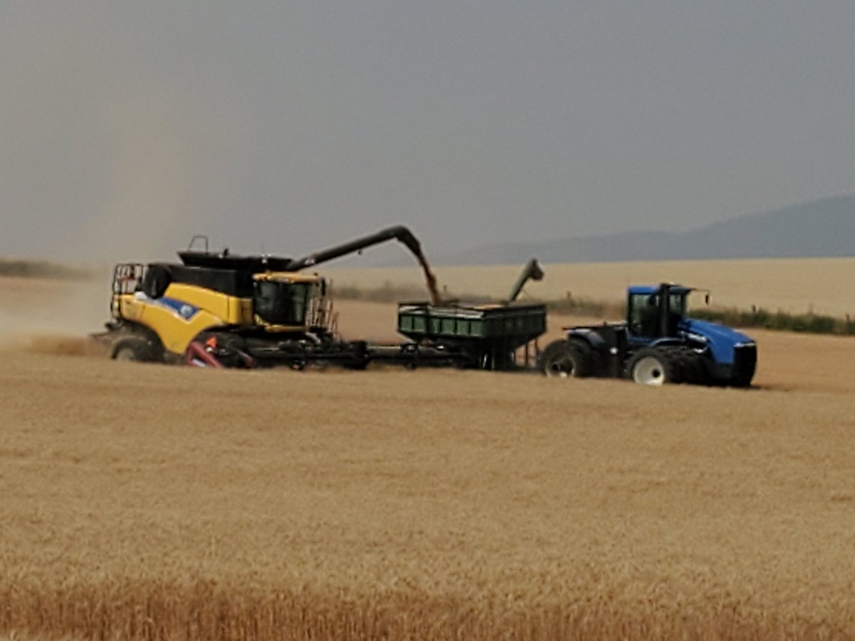 Yellow, blue, green, and red. You'd think it's Easter around here.