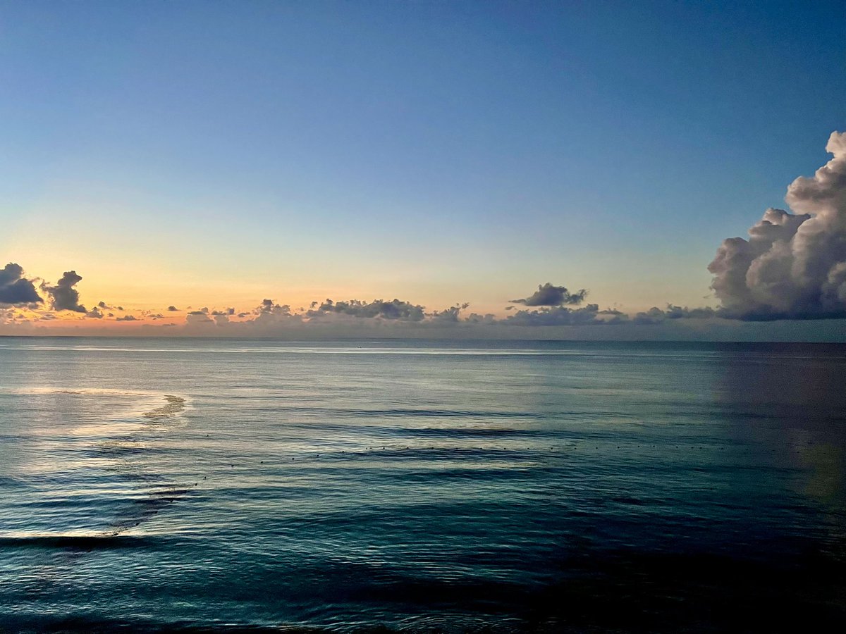 David Diokno, Ed.D tweet media