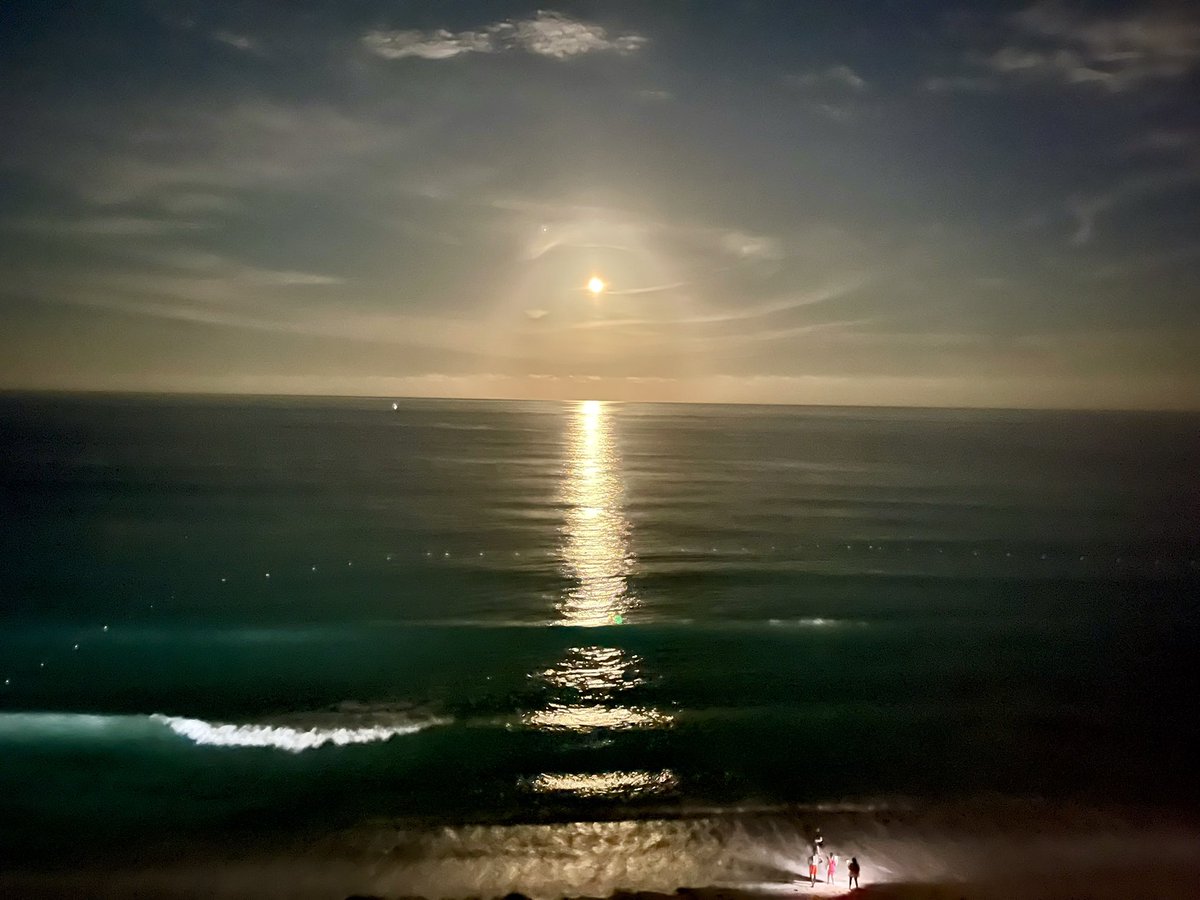 David Diokno, Ed.D tweet media