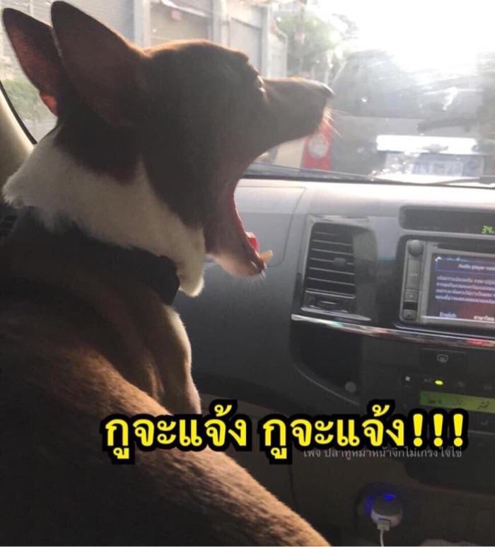 มอสอย่าเหี้ยยยย <a href="/jumzero_/">ᴹᵒˢˢ</a>