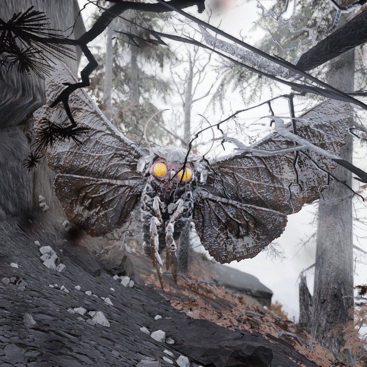 jamsessions_'s tweet photo. Mothman Monday - Chameleon Edition 
 
#mothmanmonday #pathtoenlightenment #chameleon #mothman 
. . . 
@fallout

#fallout76 #fallout76photomode #fallout https://t.co/tQhSWLr4Bd