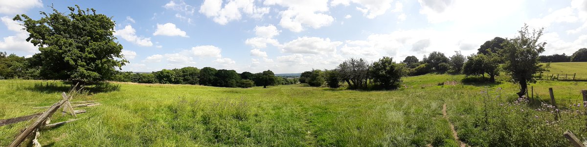 trails2dforgot's tweet photo. Views from the top are the reward for the climb.
#dalesway #gardentrails #trailstotheforgotten https://t.co/TU9IWrVpI9