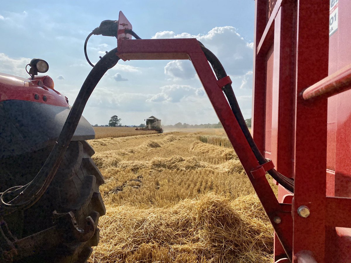 feel_paul's tweet photo. #barley #harvest time again in #godsowncounty #theEastRidingofYorkshire #masseyferguson #tractor #claas #combineharvester making light work of this years cereal crop. #itsgrimupnorth #makeithappen in #highcatton @sbib_bloom nr. #york https://t.co/Y9QXgG39ue