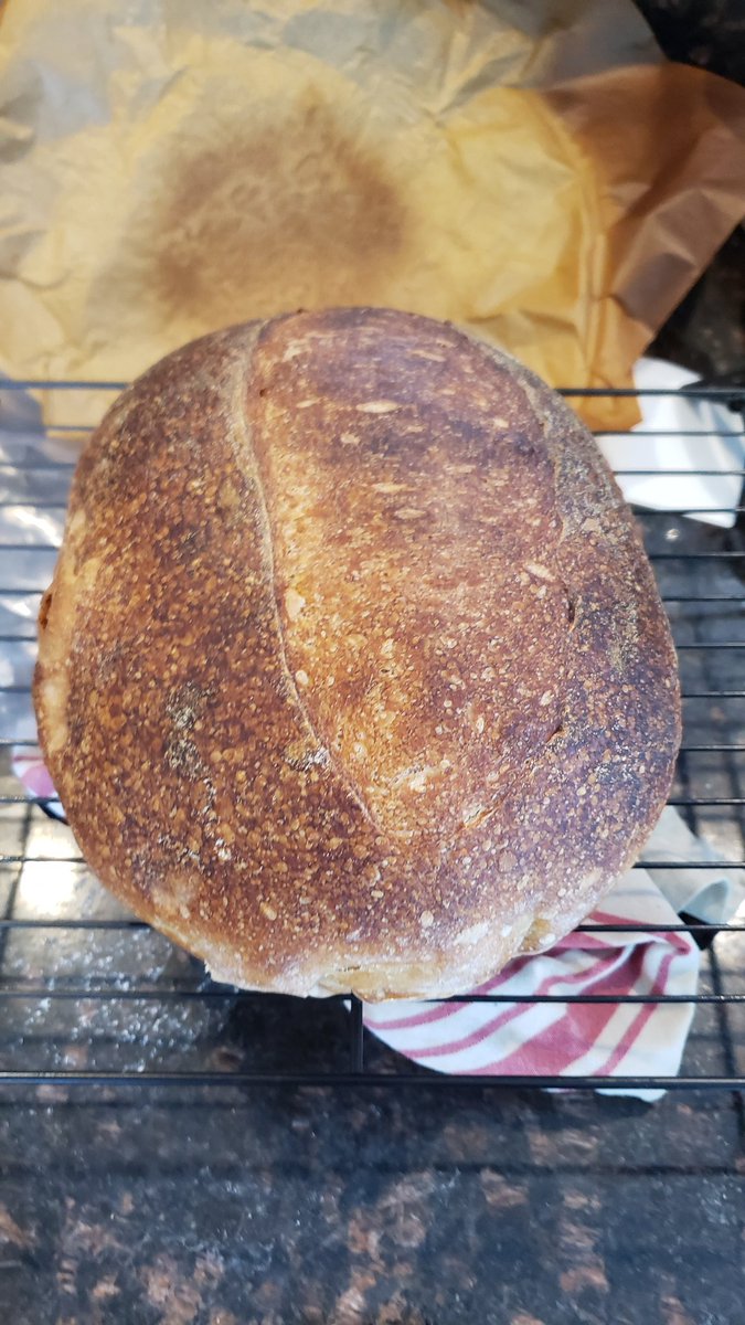 In honor of my fallen GPU, it's bread day. Overnight sourdough.