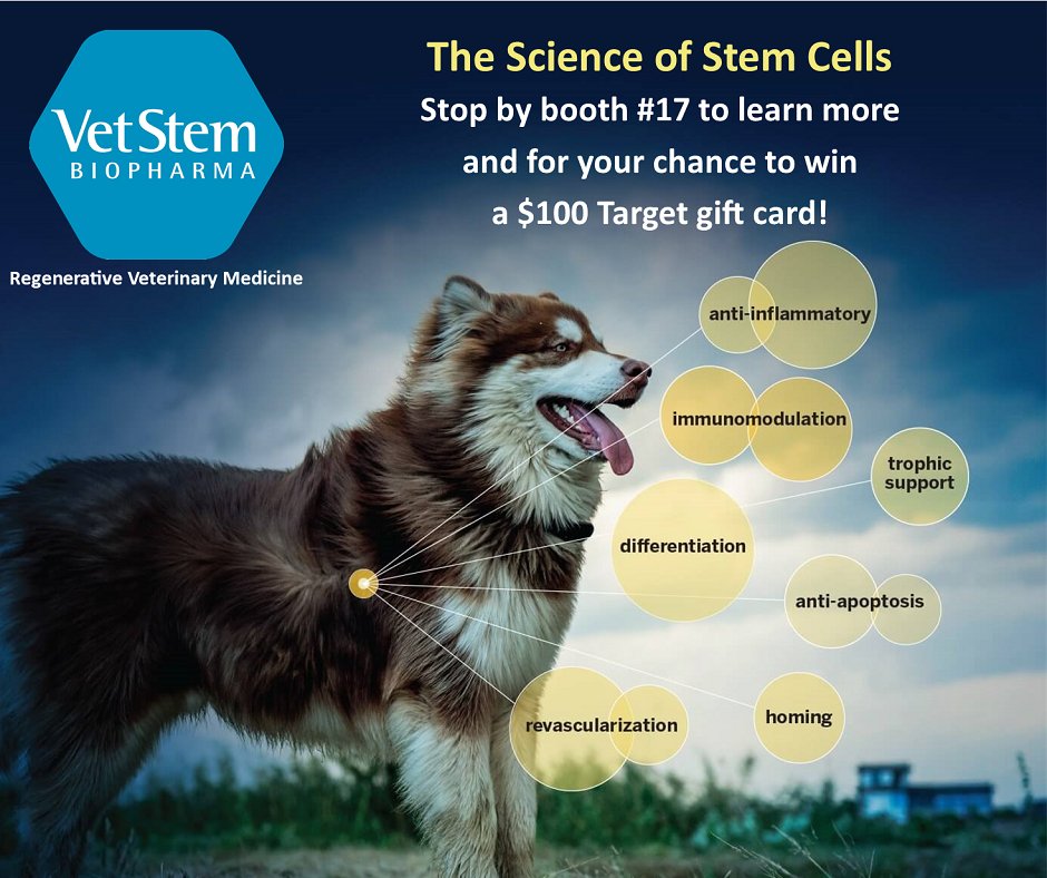 VetGirlOnTheRun's tweet photo. Learn how to incorporate VetStem Regenerative Cell Therapy into your practice at VETgirl U Veterinary Conference! #VetStem #StemCell #StemCellTherapy #RegenerativeMedicine #Veterinary #sponsoredad #sponsoredpost
Twitter: @VetStem
https://t.co/n6HuaO6VvM https://t.co/rD4Nz1KS3X